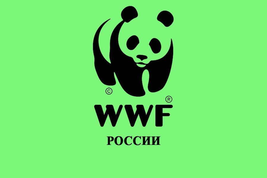 Wwf всемирный фонд дикой природы презентация